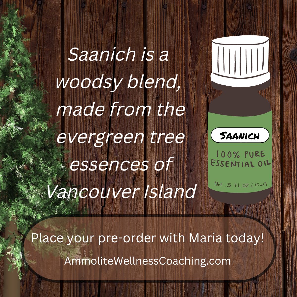 Saanich essential oil blend.