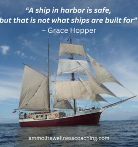 “A ship in harbor is safe, but that is not what ships are built for” – thanks Grace Hopper!