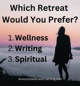 Which retreat would you prefer: wellness, writing or spirituality?