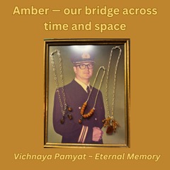 Amber — our bridge across time and space.